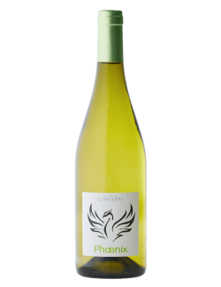 Phoenix – Vin Blanc Aromatique Vermentino Colombard | Résilience & Fraîcheur