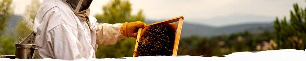 Les produits gourmands | Domaine des Conquêtes
