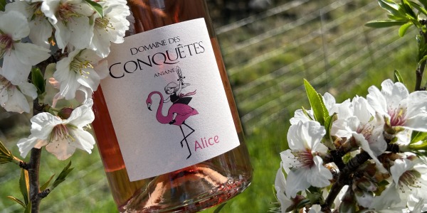Alice Rosé 2025